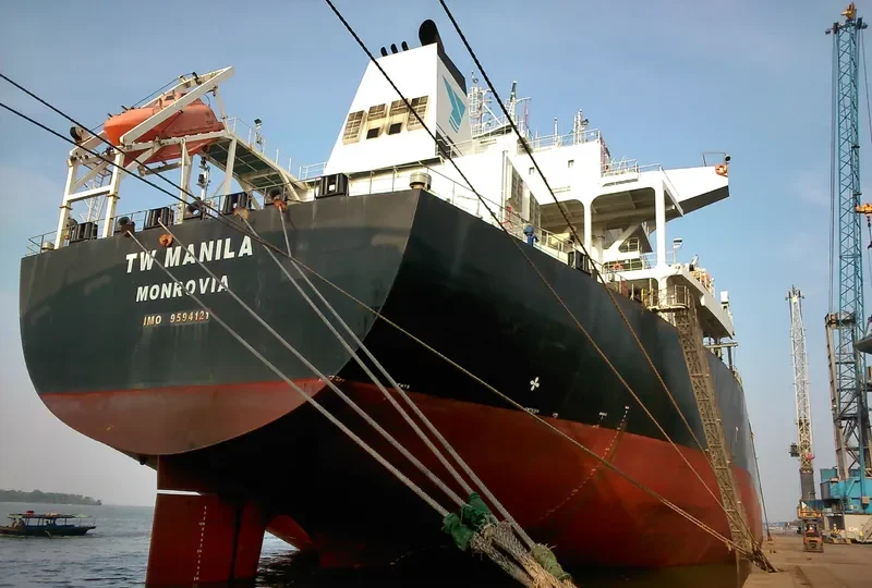 TW MANILA Bulk Carrier IMO 9594121
