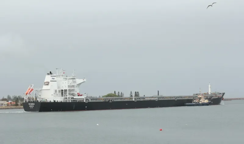 TW MANILA Bulk Carrier IMO 9594121 photo 4