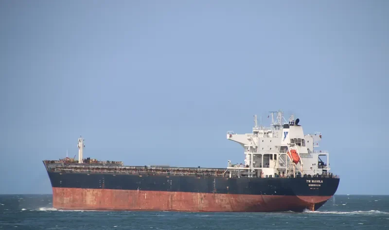 TW MANILA Bulk Carrier IMO 9594121 photo 6