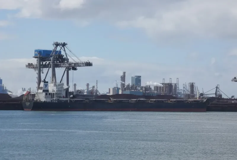 TW MANILA Bulk Carrier IMO 9594121 photo 8