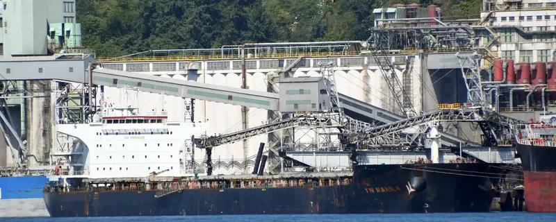 TW MANILA Bulk Carrier IMO 9594121 photo 10