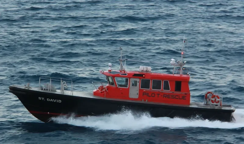 ST.DAVID General Cargo IMO 9594274