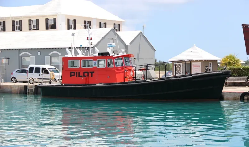 ST.DAVID General Cargo IMO 9594274 photo 3