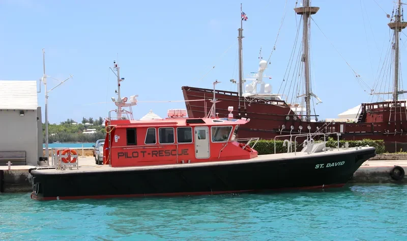 ST.DAVID General Cargo IMO 9594274 photo 5