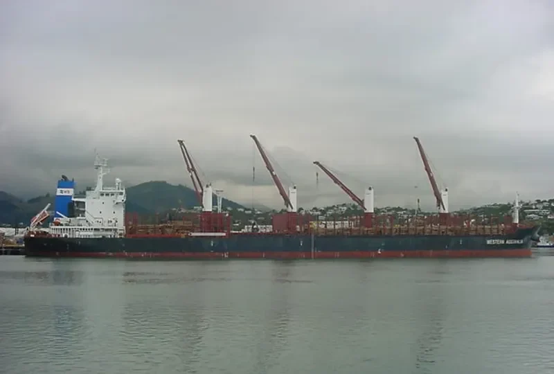 CLIPPER TYNE Bulk Carrier IMO 9594535 photo 6