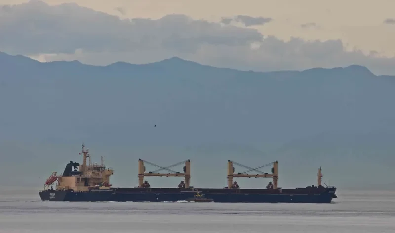 STAR CEPHEUS Bulk Carrier IMO 9594597 photo 3