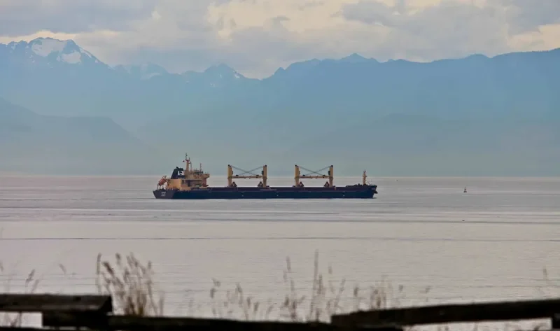 STAR CEPHEUS Bulk Carrier IMO 9594597 photo 4
