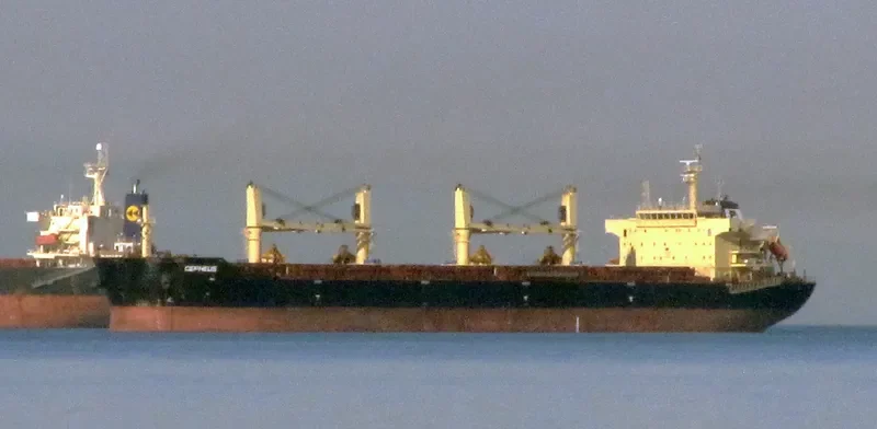 STAR CEPHEUS Bulk Carrier IMO 9594597 photo 6