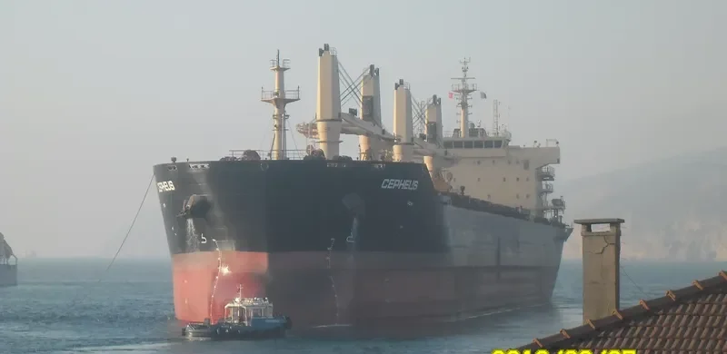 STAR CEPHEUS Bulk Carrier IMO 9594597 photo 7