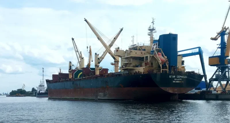 STAR CEPHEUS Bulk Carrier IMO 9594597 photo 9