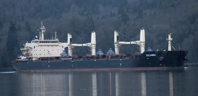 COLUMBA Bulk Carrier IMO 9594602 photo 9