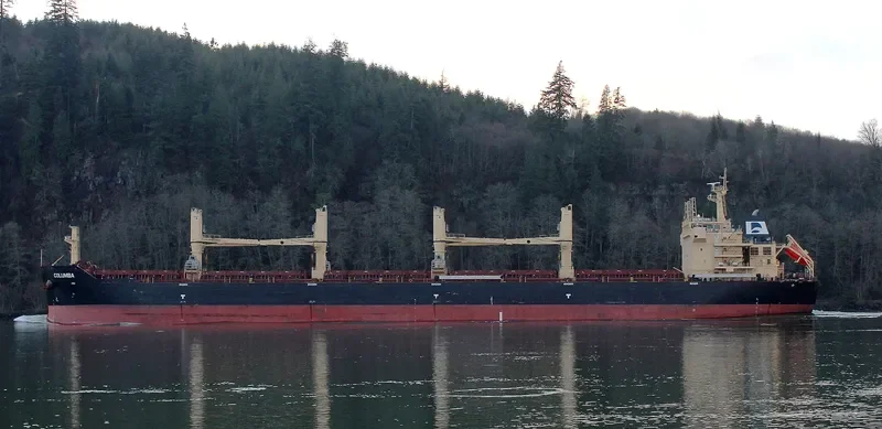 COLUMBA Bulk Carrier IMO 9594602 photo 10