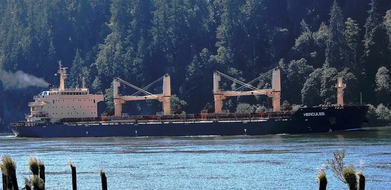 STAR HERCULES Bulk Carrier IMO 9594626 photo 2