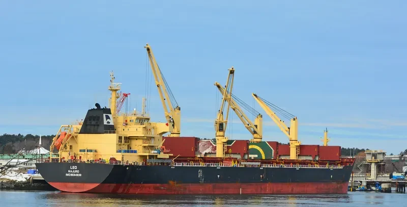 STAR CLEO Bulk Carrier IMO 9594638 photo 2