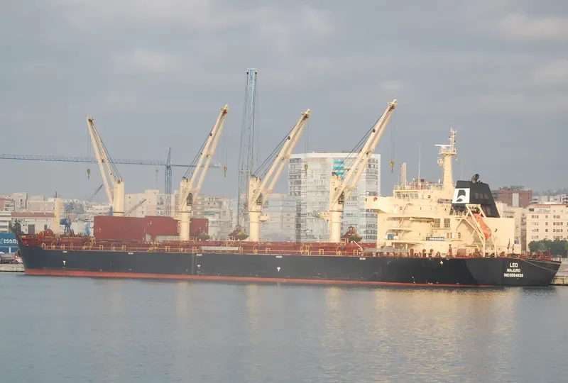 STAR CLEO Bulk Carrier IMO 9594638 photo 5