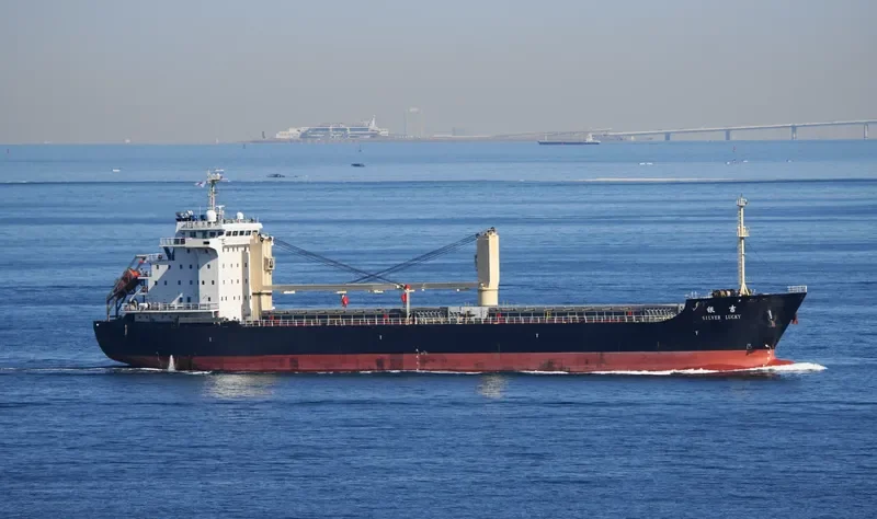 SILVER LUCKY General Cargo IMO 9594676 photo 9