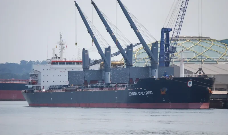 COMMON CALYPSO Bulk Carrier IMO 9594705