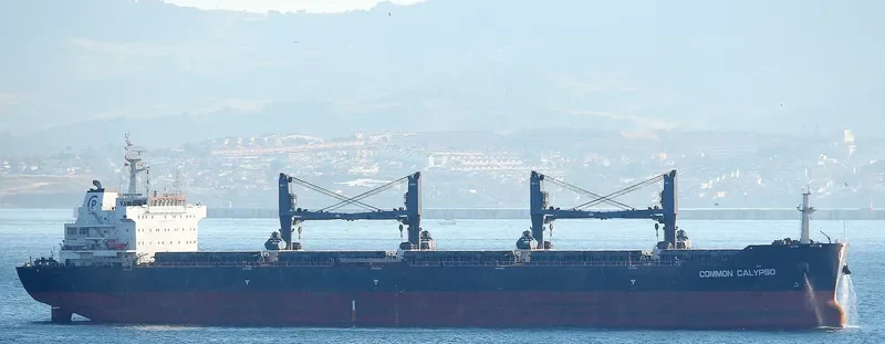 COMMON CALYPSO Bulk Carrier IMO 9594705 photo 2