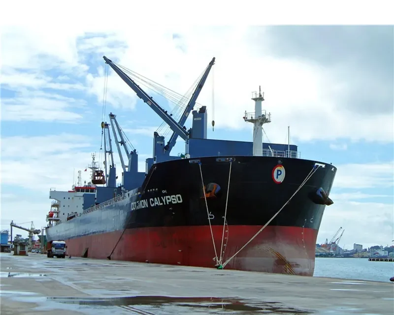 COMMON CALYPSO Bulk Carrier IMO 9594705 photo 6