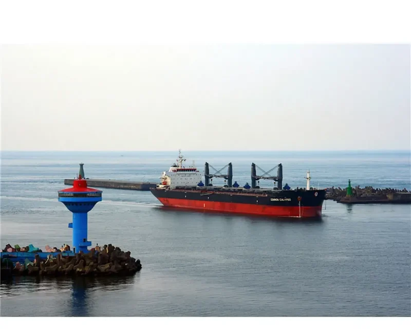 COMMON CALYPSO Bulk Carrier IMO 9594705 photo 9