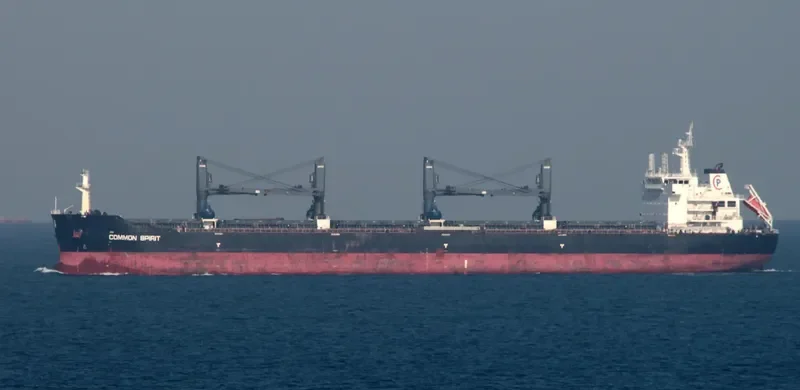 COMMON SPIRIT Bulk Carrier IMO 9594717