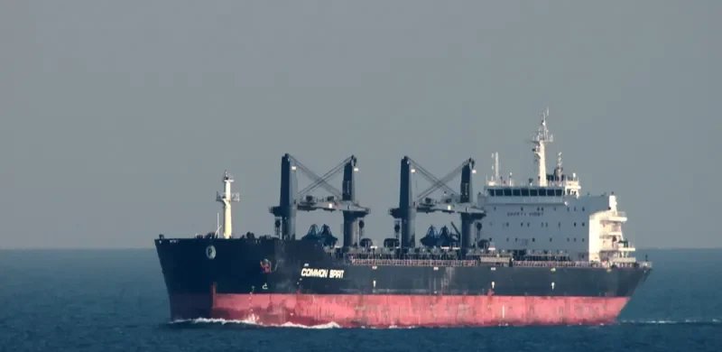 COMMON SPIRIT Bulk Carrier IMO 9594717 photo 3