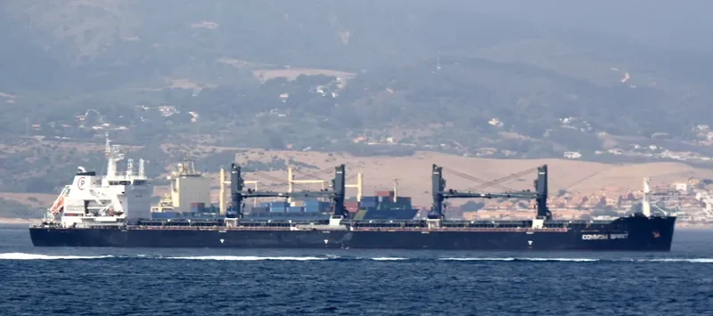 COMMON SPIRIT Bulk Carrier IMO 9594717 photo 6