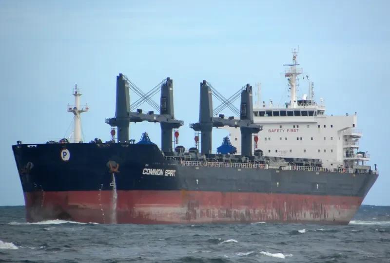 COMMON SPIRIT Bulk Carrier IMO 9594717 photo 8
