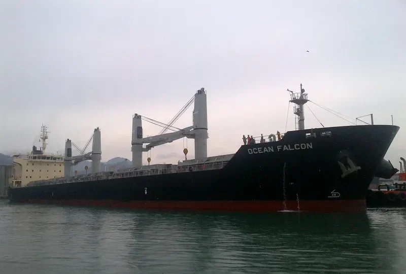 OCEAN FALCON Bulk Carrier IMO 9595163