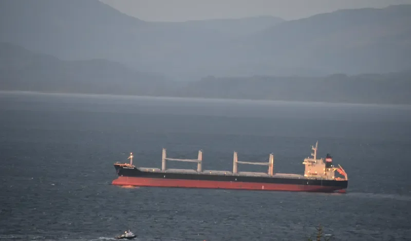 OCEAN FALCON Bulk Carrier IMO 9595163 photo 2
