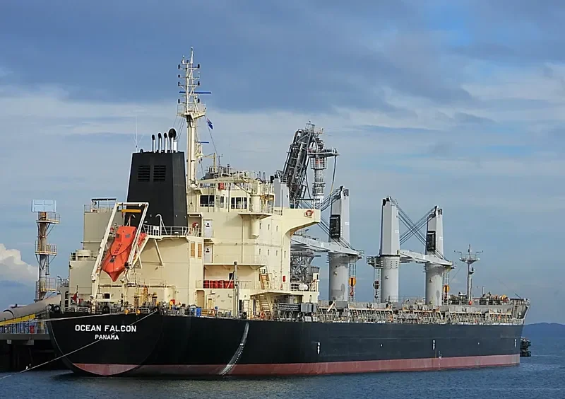 OCEAN FALCON Bulk Carrier IMO 9595163 photo 4