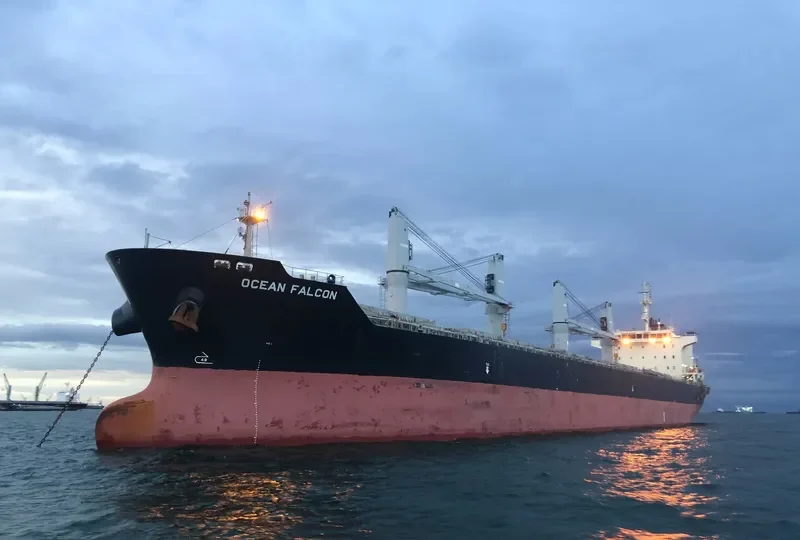 OCEAN FALCON Bulk Carrier IMO 9595163 photo 8
