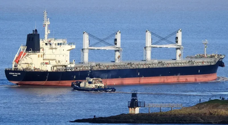 OCEAN FALCON Bulk Carrier IMO 9595163 photo 10