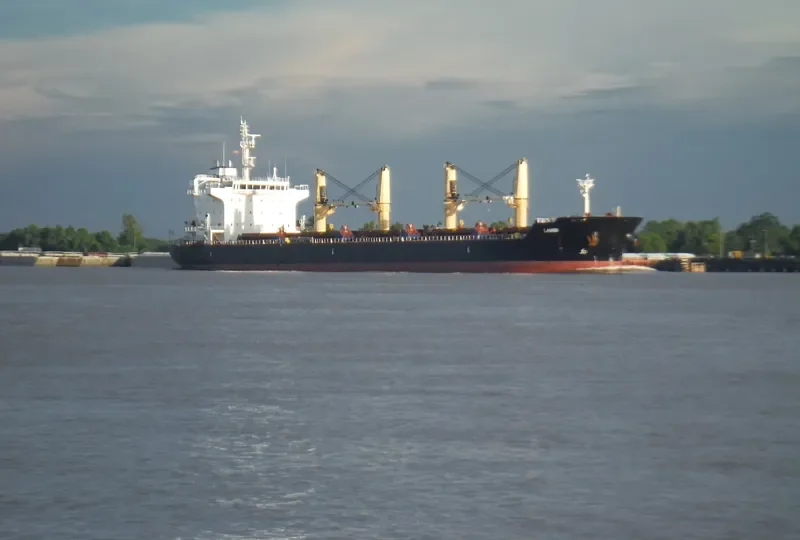 LAMBI Bulk Carrier IMO 9595254 photo 4