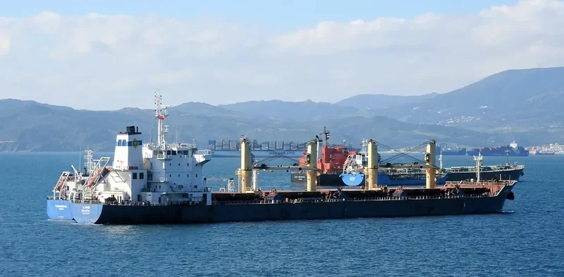 LAMBI Bulk Carrier IMO 9595254 photo 7