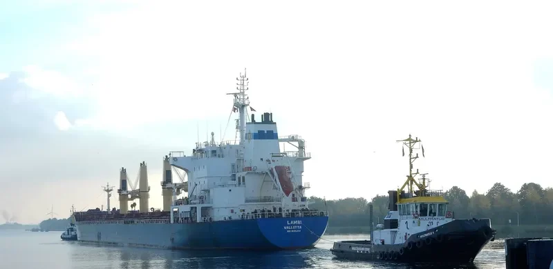LAMBI Bulk Carrier IMO 9595254 photo 10