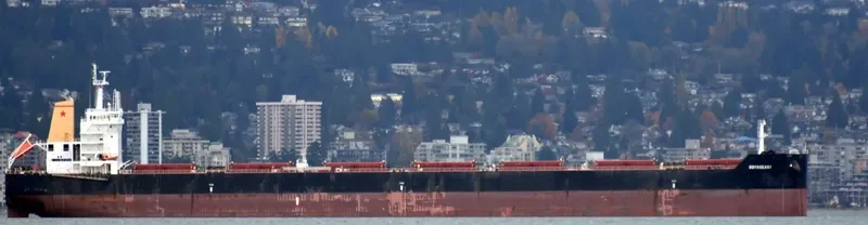 ODYSSEAS I Bulk Carrier IMO 9595266 photo 2