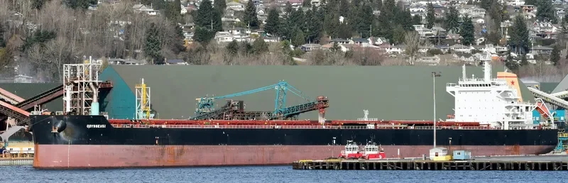 ODYSSEAS I Bulk Carrier IMO 9595266 photo 9