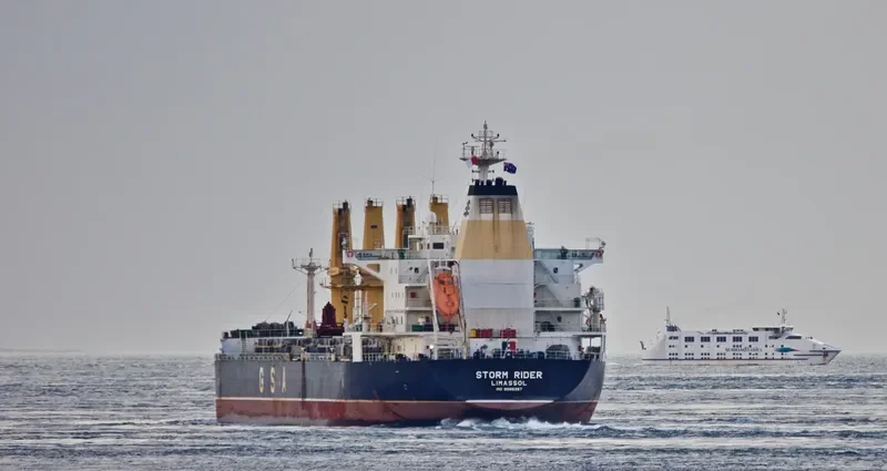 STORM RIDER Bulk Carrier IMO 9595357