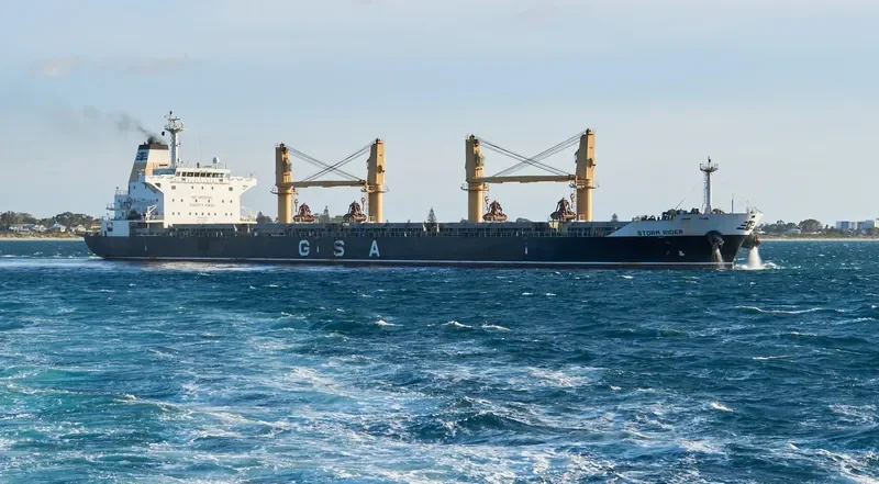 STORM RIDER Bulk Carrier IMO 9595357 photo 6