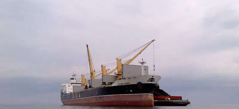 STORM RIDER Bulk Carrier IMO 9595357 photo 7