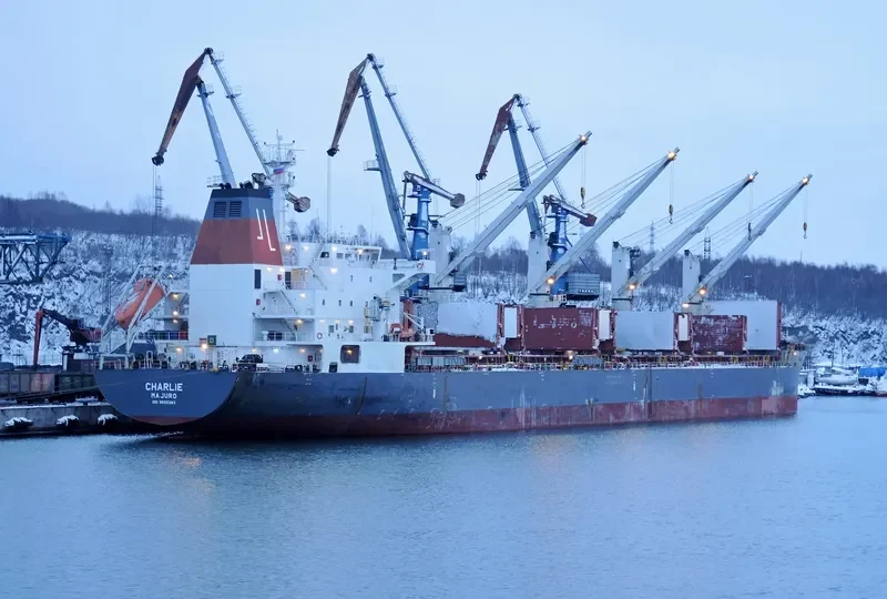 CHARLIE Bulk Carrier IMO 9595383