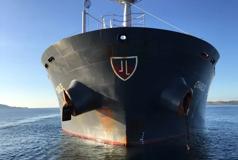 CHARLIE Bulk Carrier IMO 9595383 photo 5