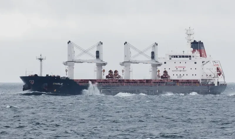 CHARLIE Bulk Carrier IMO 9595383 photo 7