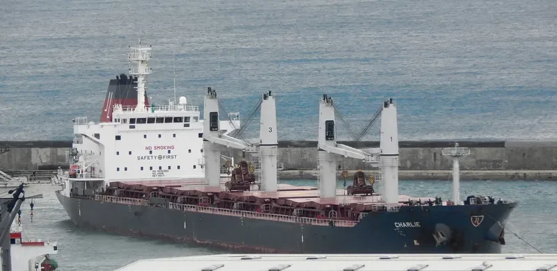 CHARLIE Bulk Carrier IMO 9595383 photo 8