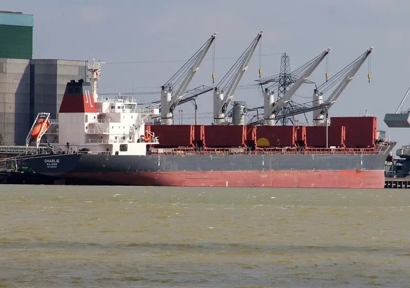CHARLIE Bulk Carrier IMO 9595383 photo 10