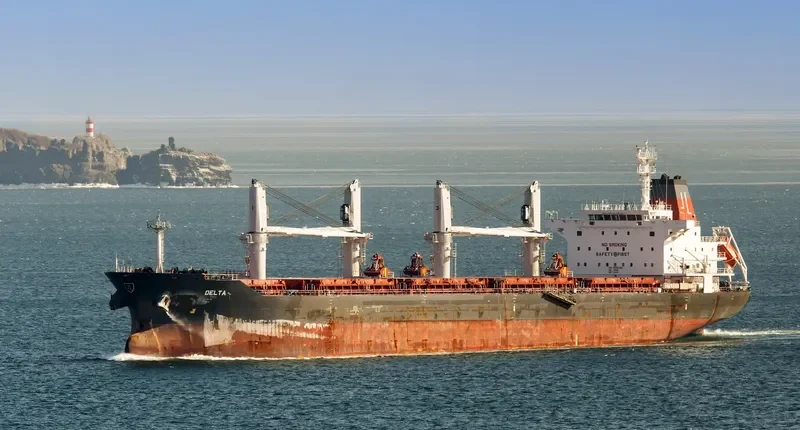 DELTA Bulk Carrier IMO 9595395 photo 5