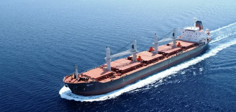 DELTA Bulk Carrier IMO 9595395 photo 10