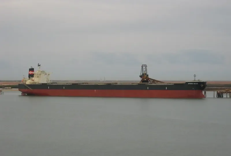 SPRING NEXUS Bulk Carrier IMO 9595400
