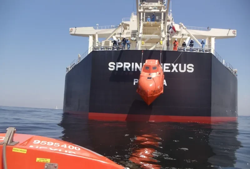 SPRING NEXUS Bulk Carrier IMO 9595400 photo 2